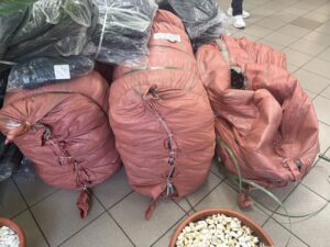 Rucsacurile sortate pe loturi înainte de a ajunge la elevii din Otopeni
